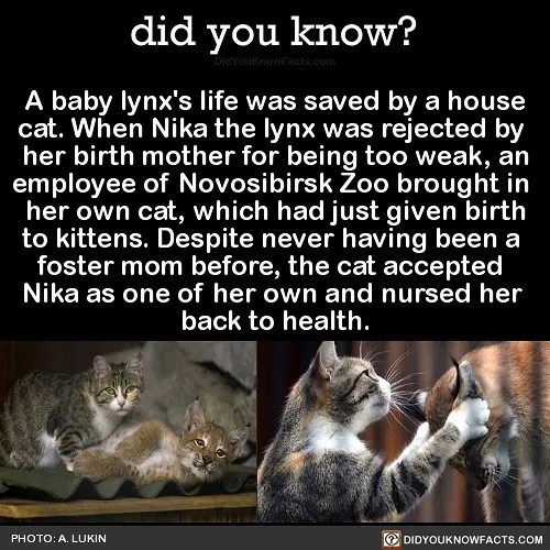 This Instagram Account Shares 50 Interesting And Fact-Checked Things You Might Not Know About The World