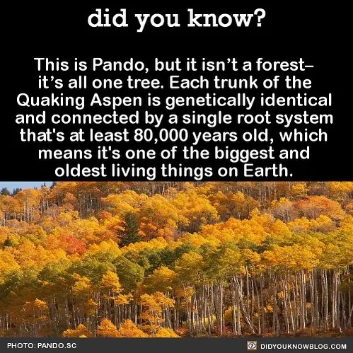 This Instagram Account Shares 50 Interesting And Fact-Checked Things You Might Not Know About The World