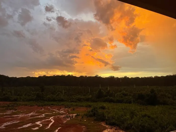 The Sky Was Pretty That Day