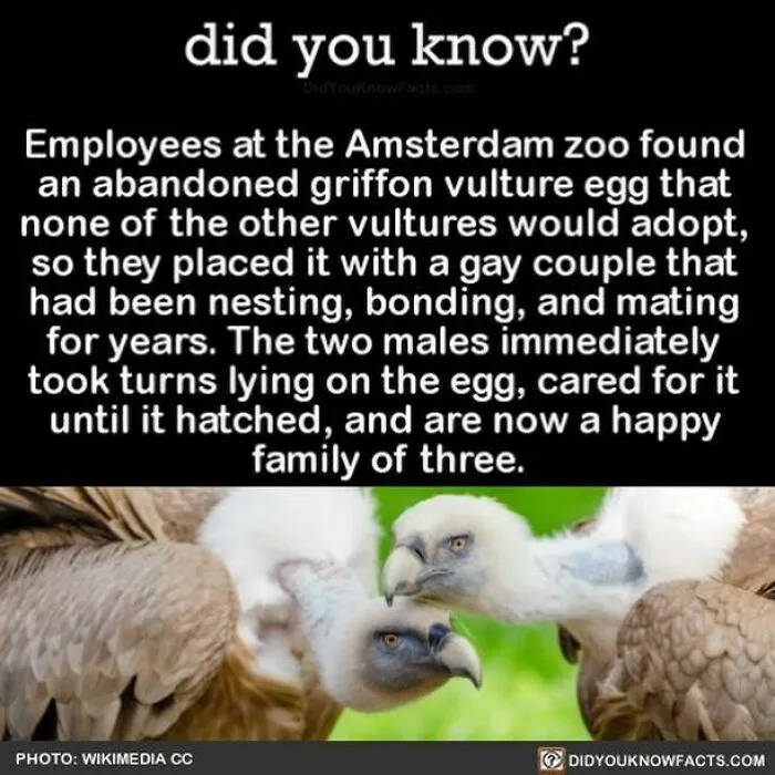This Instagram Account Shares 50 Interesting And Fact-Checked Things You Might Not Know About The World