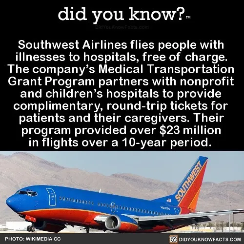 This Instagram Account Shares 50 Interesting And Fact-Checked Things You Might Not Know About The World