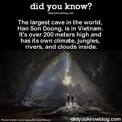 This Instagram Account Shares 50 Interesting And Fact-Checked Things You Might Not Know About The World