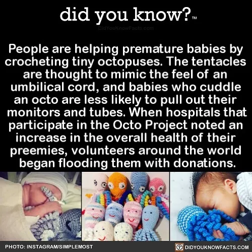 This Instagram Account Shares 50 Interesting And Fact-Checked Things You Might Not Know About The World