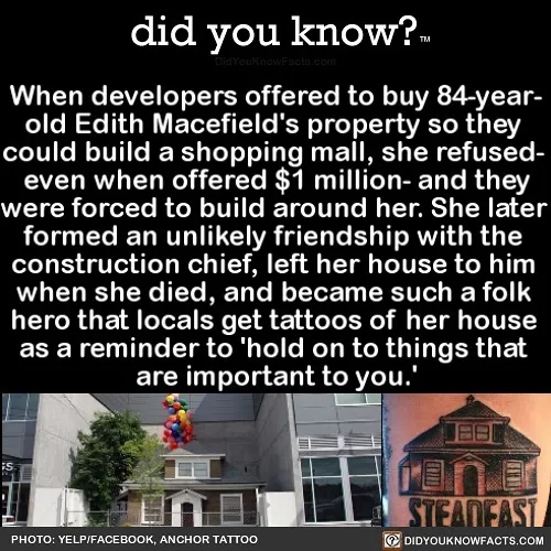 This Instagram Account Shares 50 Interesting And Fact-Checked Things You Might Not Know About The World