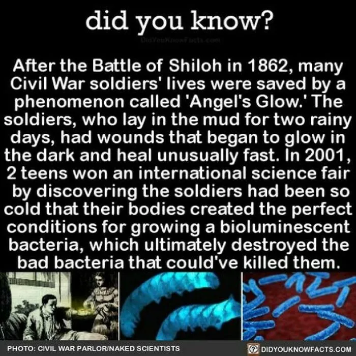 This Instagram Account Shares 50 Interesting And Fact-Checked Things You Might Not Know About The World