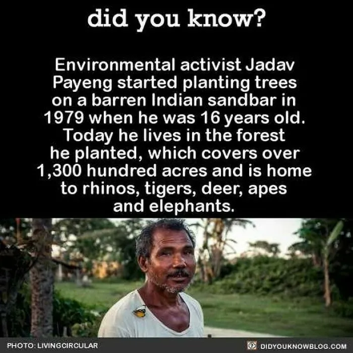 This Instagram Account Shares 50 Interesting And Fact-Checked Things You Might Not Know About The World
