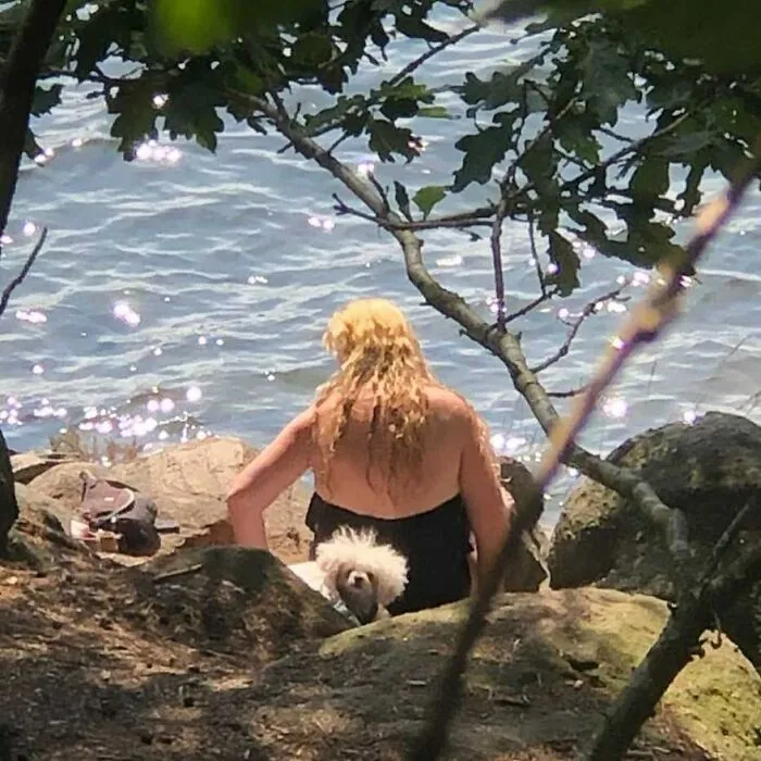 35 Divertidos y adorables perros fotografiados a escondidas que terminaron en el instagram 'Perros mal fotografiados'