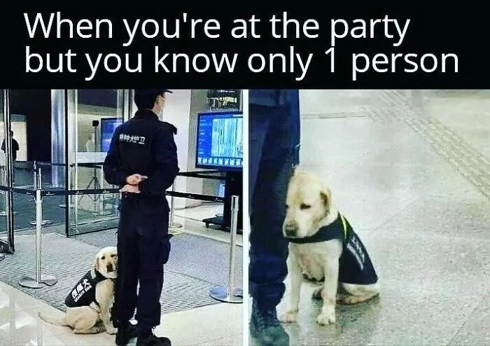 Plot twist: It’s actually relatable