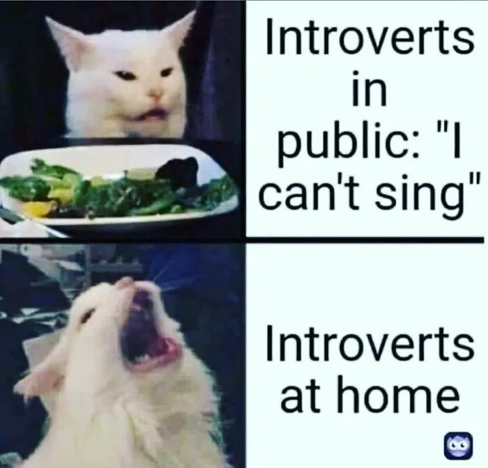 Cat looking unimpressed with salad plate and text about introverts in public, and dog howling at home illustrating introvert nation memes.