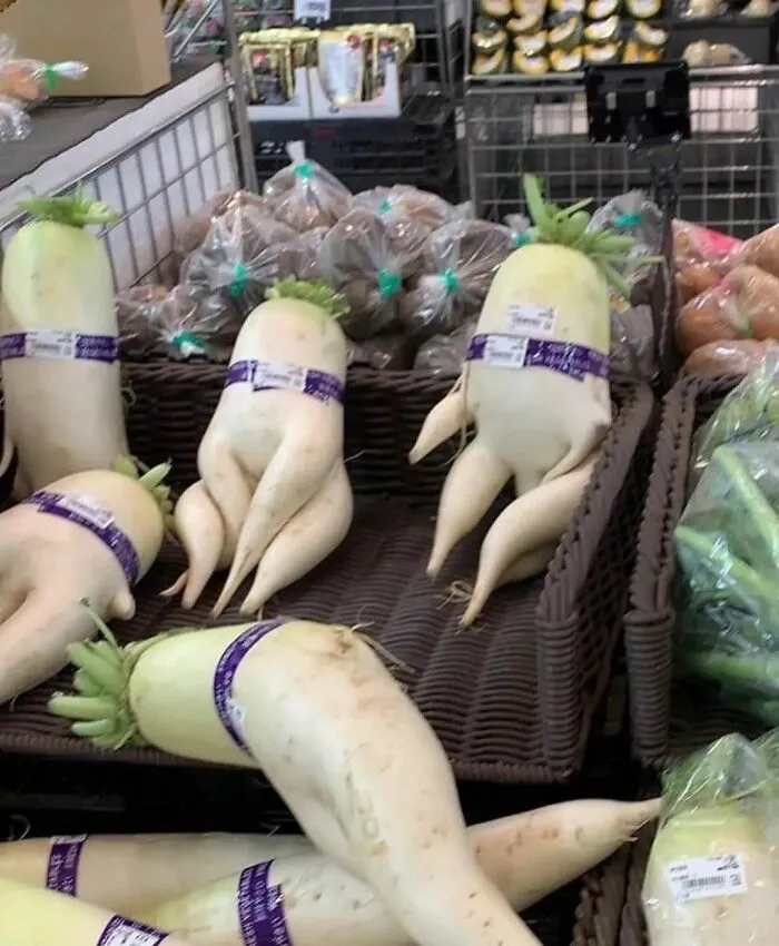 36 Fotos geniales de "comida caótica" que te harán preguntarte cosas