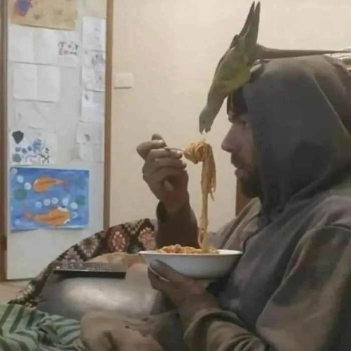36 Fotos geniales de "comida caótica" que te harán preguntarte cosas