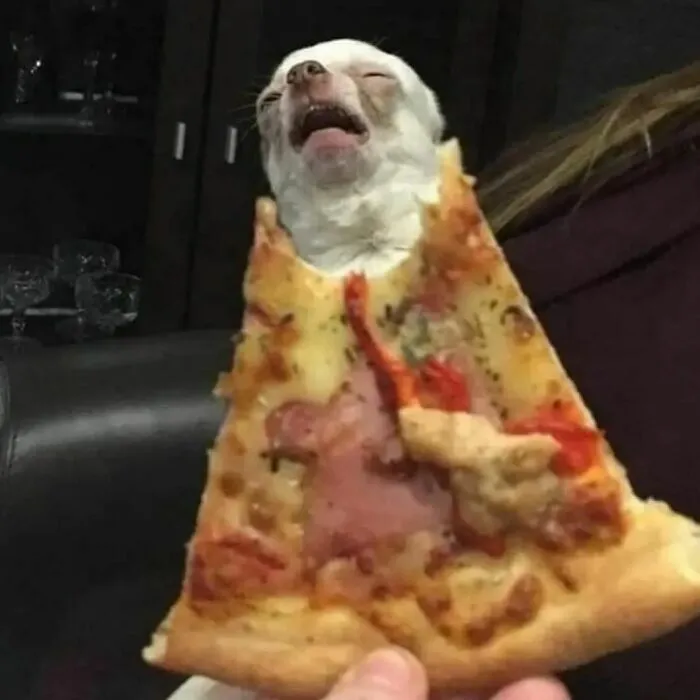 36 Fotos geniales de "comida caótica" que te harán preguntarte cosas