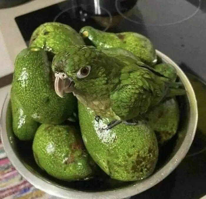 36 Fotos geniales de "comida caótica" que te harán preguntarte cosas