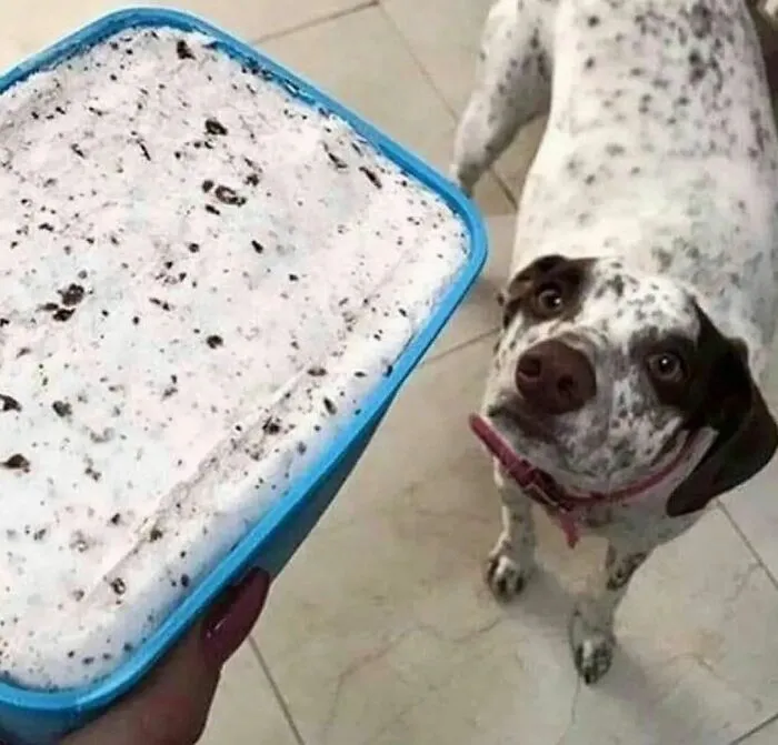 36 Fotos geniales de "comida caótica" que te harán preguntarte cosas