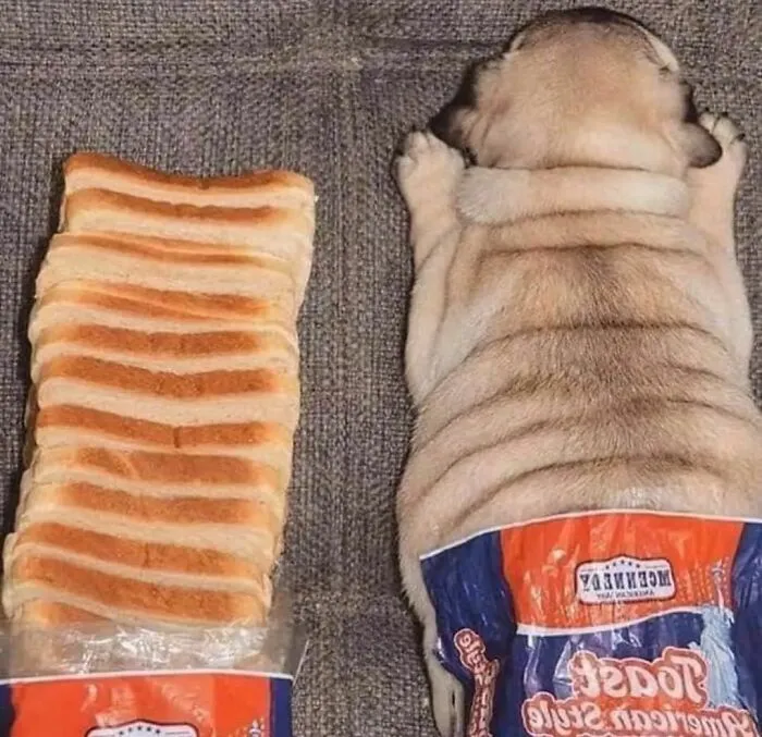 40 Of The Best "Chaotic Food" Pics That Might Raise A Few Questions