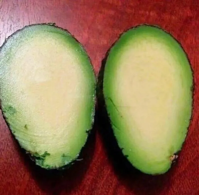 36 Fotos geniales de "comida caótica" que te harán preguntarte cosas