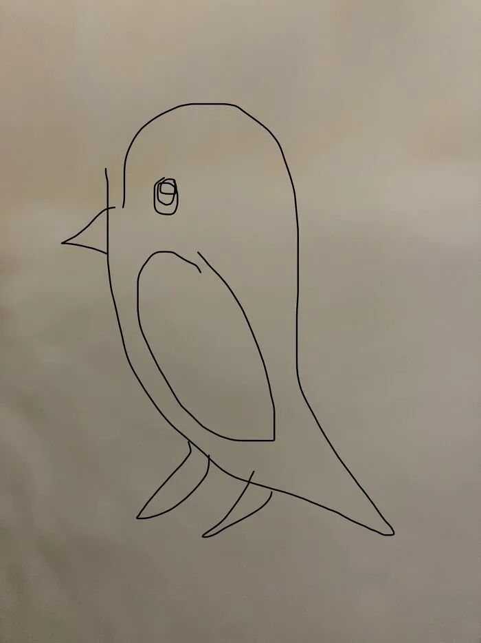 A Bird?  I Can’t Even Draw In The First Place