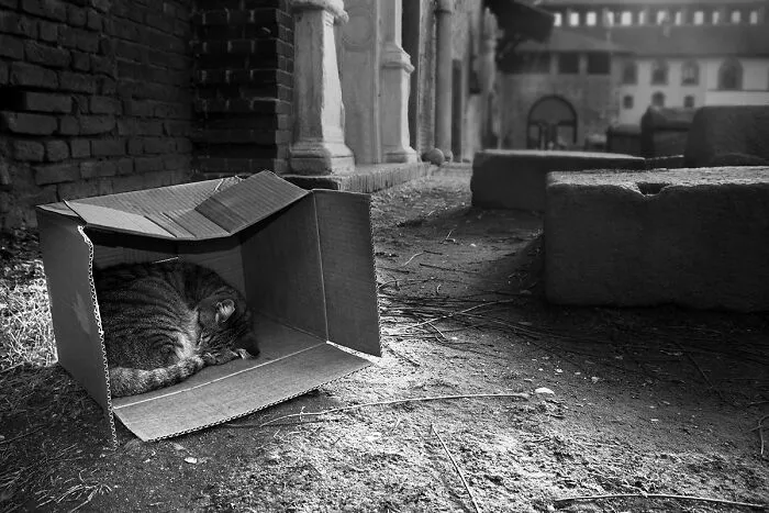 Homeless