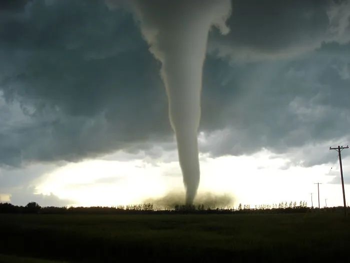 I Didn't Get Out Of My City In But I Survived This