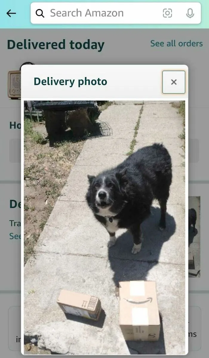 This Is The Picture Amazon Sent My Bill To Say The Packages Were "Delivered To A Family Member Directly"