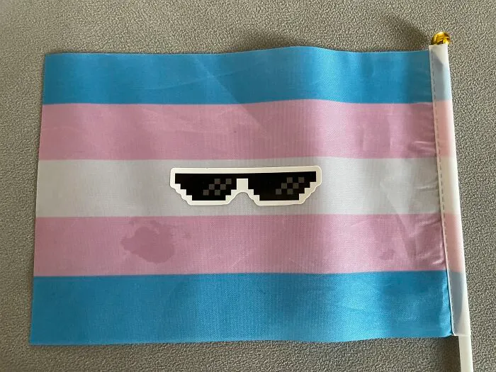 The Gamer Trans Flag 