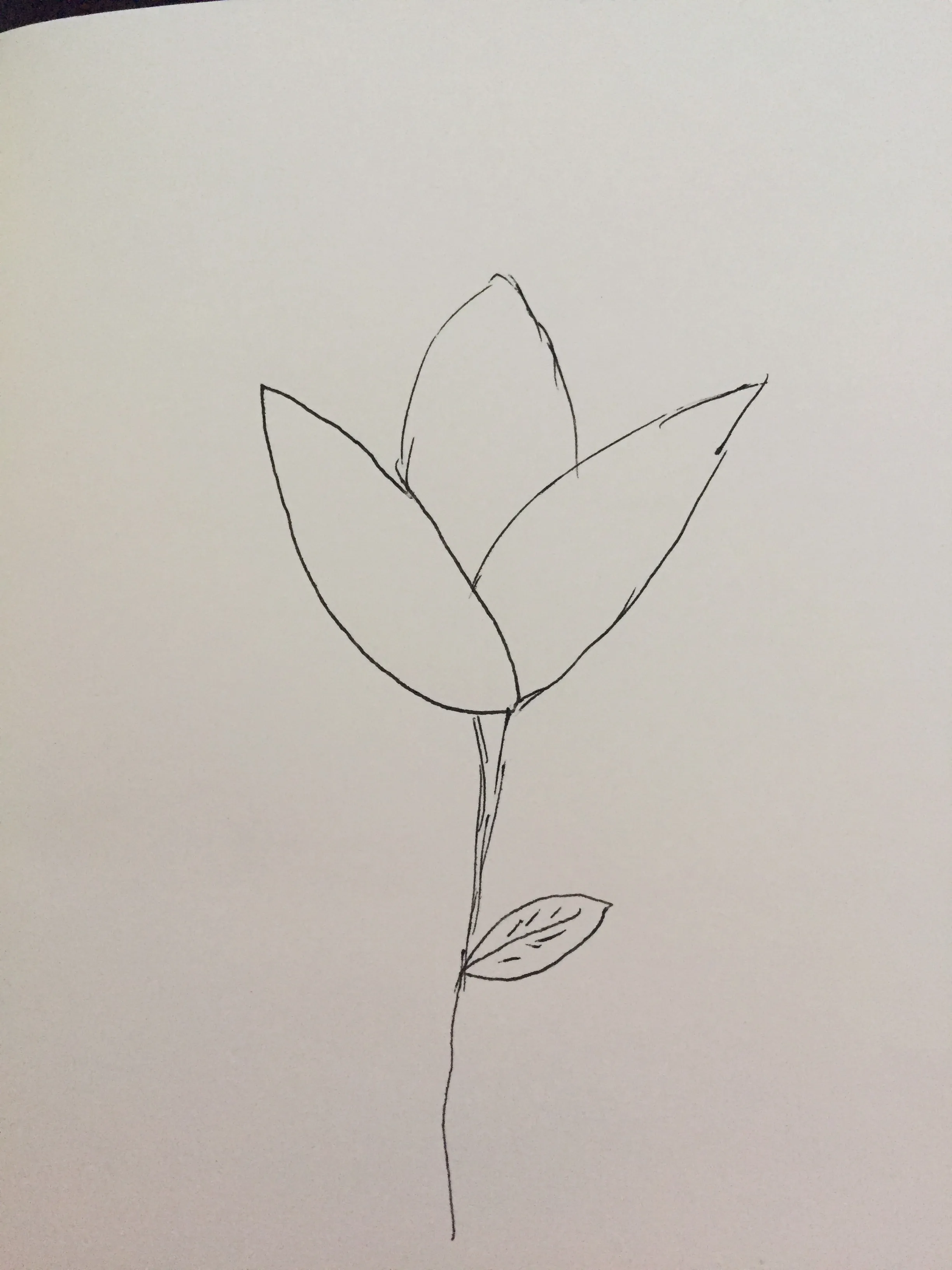Hey Pandas, Draw A Tulip And Post The Result!