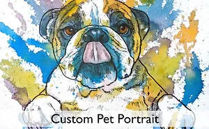 I Turn Your Pet Photos Into Personalized And Colorful Works Of Art