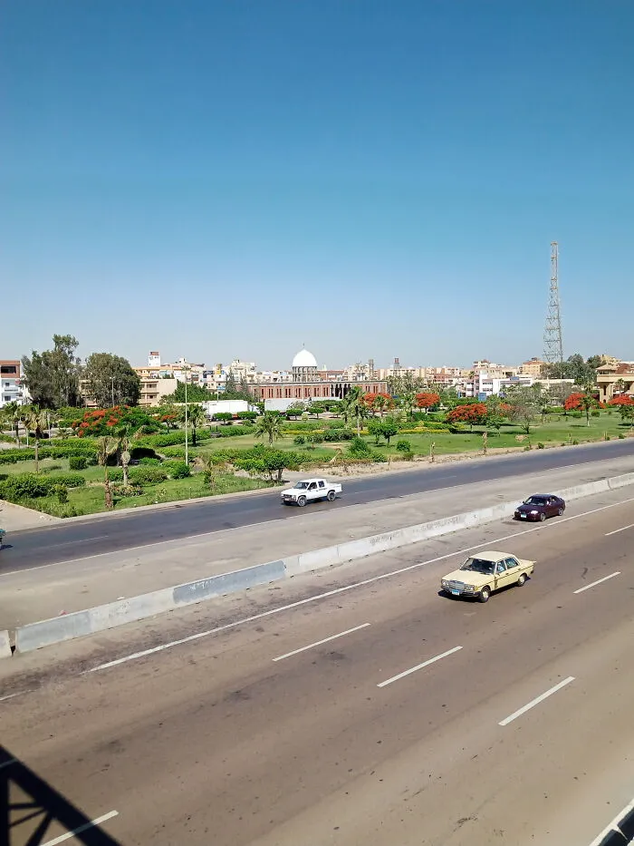 Noubaria, Egypt. Those Trees Grow Red Flowers Only In Summer