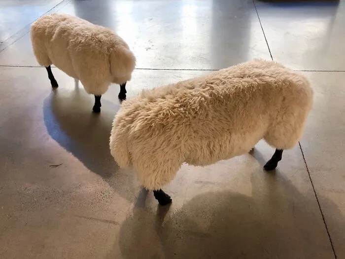 The Push Me - Push Ewe, Sheepskin, Bronze, Wood, Foam, Silicone, 30” X 48” X 20”
