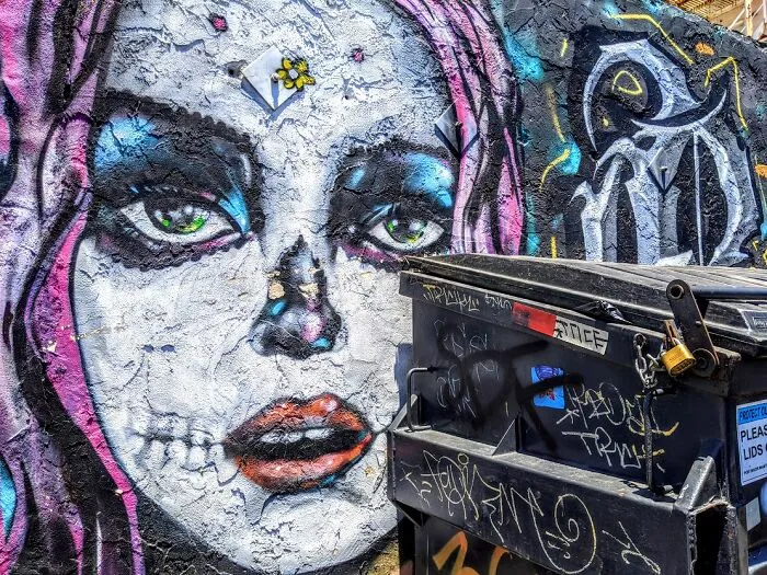 Alleys And Art. Barrio Logan Is The Place To Have A Visual Overdose
