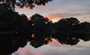 Show Me The Best Sunset