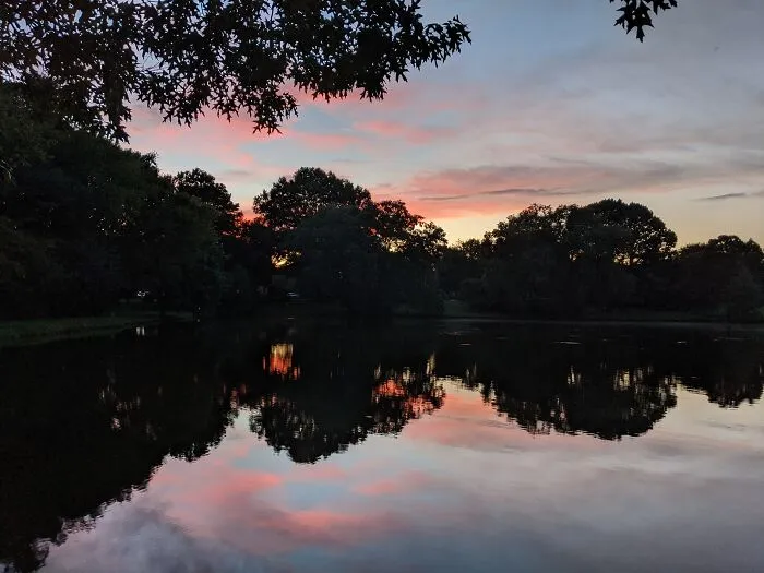 Reflection