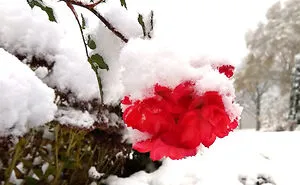 Hey Pandas, Post Your Best Nature Picture (Closed)
