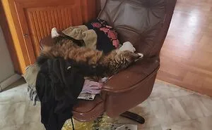 Hey Pandas, Show Me Something That Makes You Happy In Your House (Closed)
