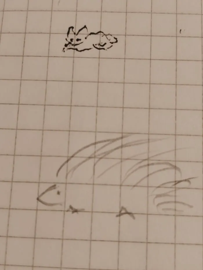 Started Out A Dog, To Become A Fennec Fox And A Hedgehog That Has Delusions Of Being A Porcupine