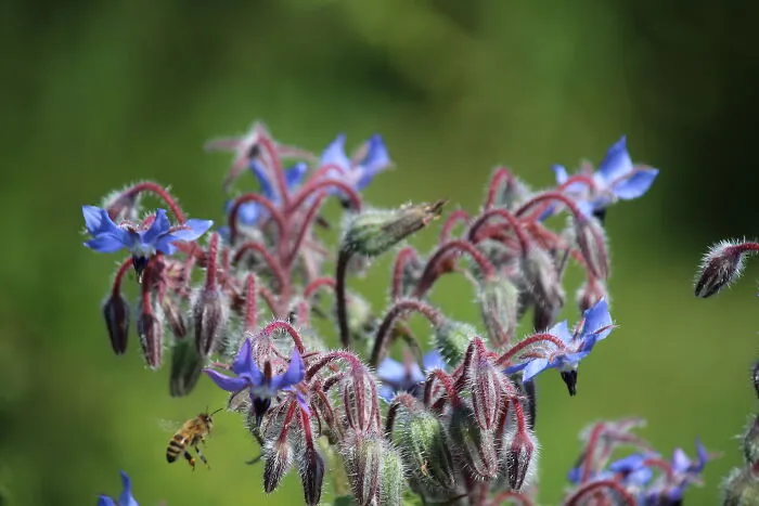 Uploading For A Friend: We Went To A Garden Together And They Took This Amazing Photo.