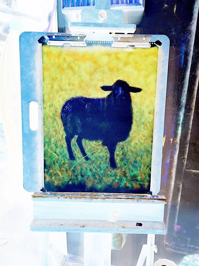 Negative Studio View, Negative Black Sheep,  24” X 18"