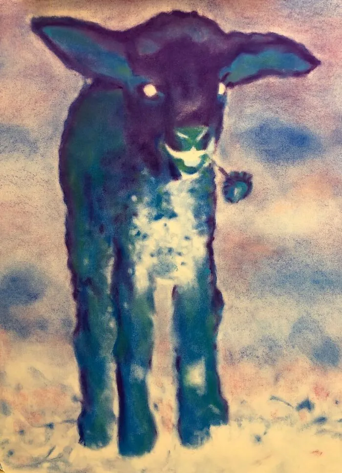 Negative Lamb With Flower,  Pastel On Paper, 24” X 18”