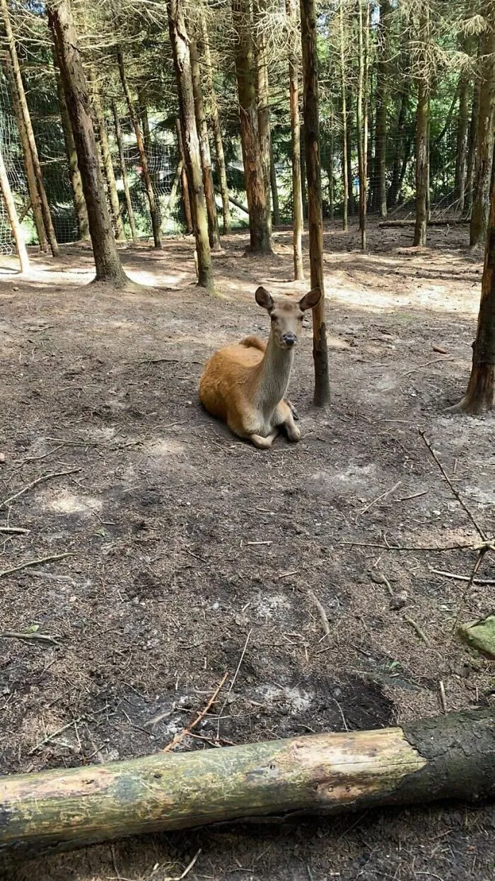 Met This Guy