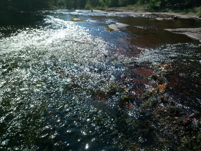 Dojkinci River, Old Mountain, Serbia