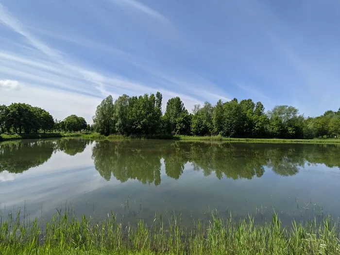 Lake Next To The Park