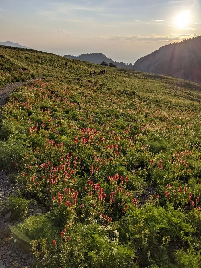 Mount Timpanogos