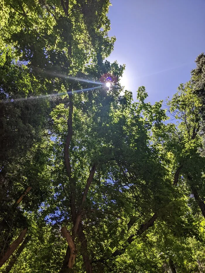 A Quiet Trail Near My Home