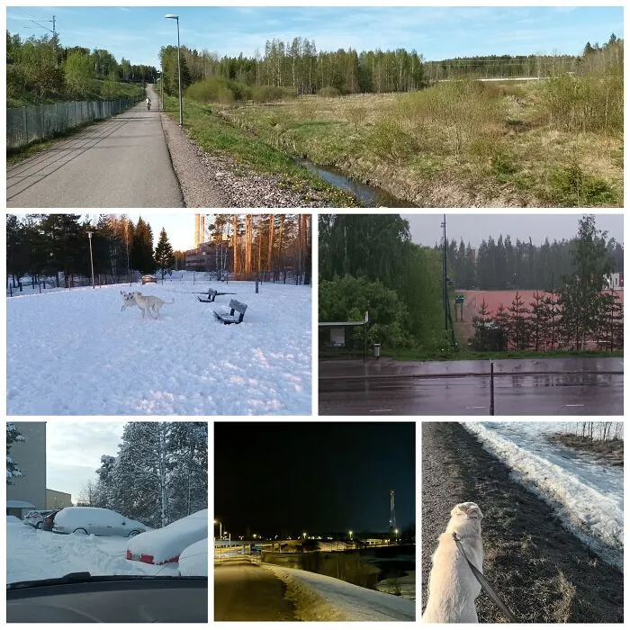I Couldn't Decide, So Here's A Collage From This Winter And Spring