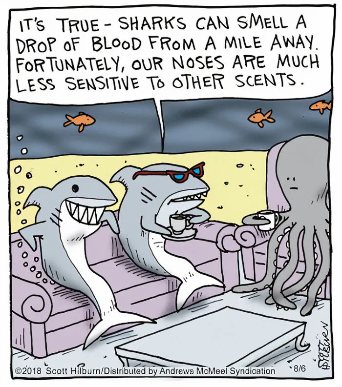 Artist Makes One-Panel Comics Filled With Absurd Situations And Silly Humor (50 Pics)