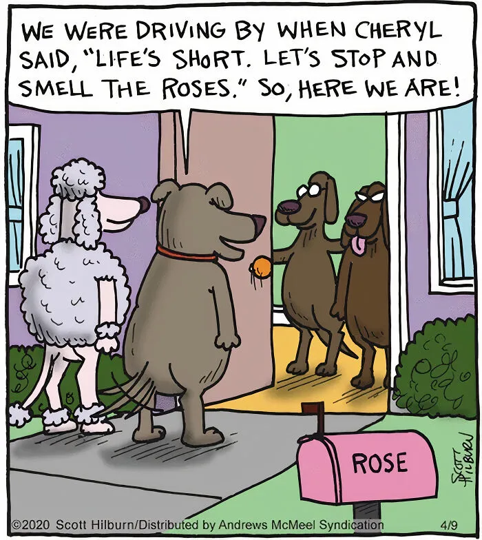 Artist Makes One-Panel Comics Filled With Absurd Situations And Silly Humor (50 Pics)