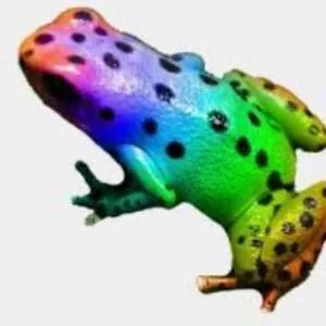 Your local gay frog