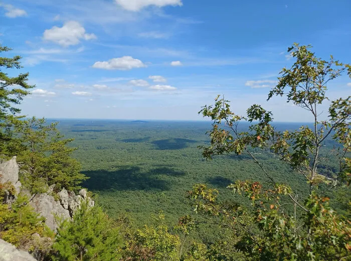 Near The Top Of Crowders Mountain In Nc.