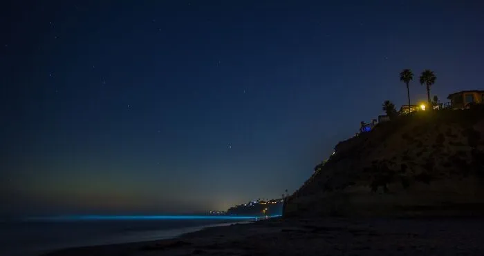 Beach At Night