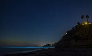 I Went To Southern California, And Here Are 27 Of My Favorite Photos That I Took While Being There